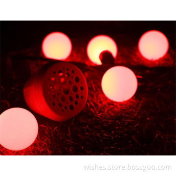 Smart globe string lights with speakers